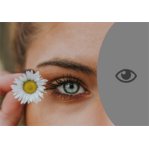 Augenbrauen- und Wimpernfarbe