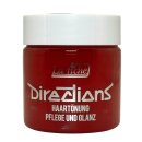 Directions fluorescent orange 100 ml