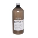 LOréal Expert Absolut Repair Molecular Shampoo...