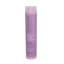 Paul Mitchell Clean Beauty Blonde Shampoo 250 ml