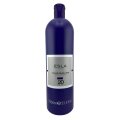 Esla Color Developer 6% 1000 ml