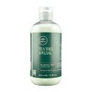 Paul Mitchell Tea Tree Special Conditioner 300 ml