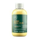 Paul Mitchell Tea Tree Special Color Shampoo 75 ml Mini