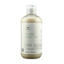 Paul Mitchell Tea Tree Scalp Care Regeniplex Shampoo 300 ml