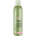 Super Brillant Care Scalp Purifying Shampoo 250 ml